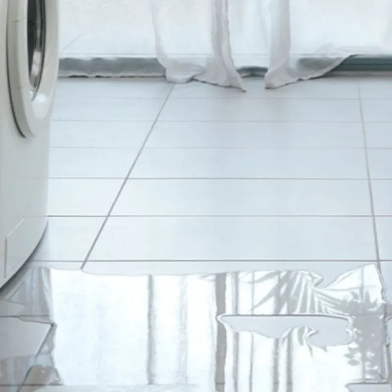 Appliance Leak Cleanup in Manning, SC